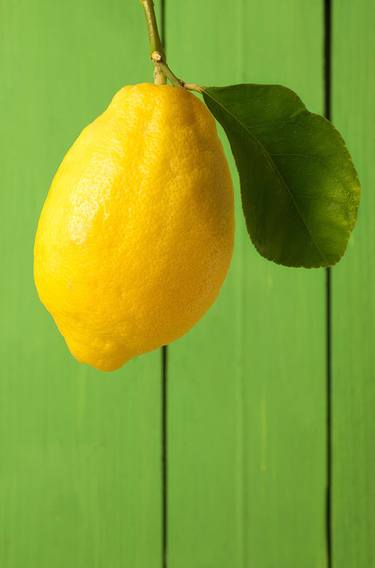lemon 1 thumb