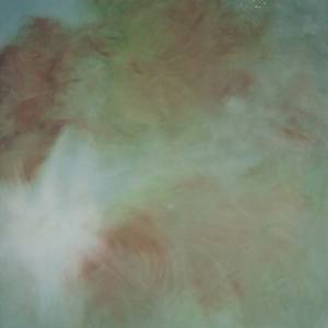 Collection Other Places