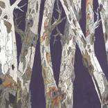 Purple Tree Art Original Modern Landscape Large Canvas Artwork by K Shoa