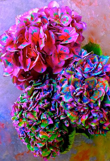 Original Abstract Floral Photography by Linda DeRosa