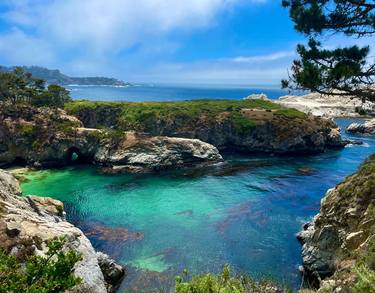 Point Lobos - Carmel, California thumb