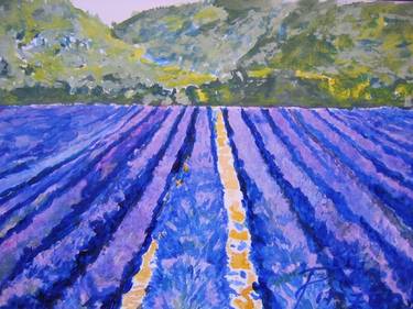Field of Lavender at Manosque thumb