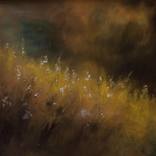 Flowers in the grass by Erwin Libbrecht
