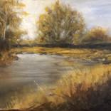 Royal Military Canal Warehorne by Erwin Libbrecht