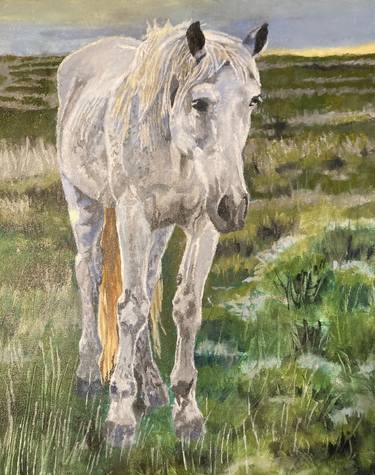 Print of Fine Art Horse Paintings by Gen Farrell