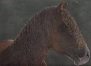 Original Realism Animal Paintings by Sharman Horwood