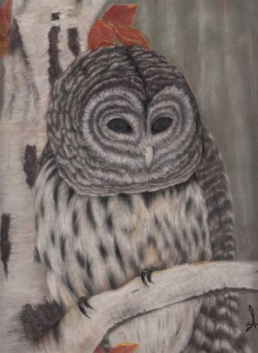 The Barred Owl: Wisdom of Fall thumb