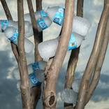 Water Bottles by Maury Gortemiller