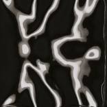 Collection Curvature Black and White