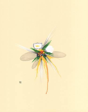 Original Floral Drawings by Heather Goodwind