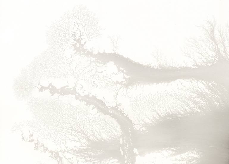 Original Expressionism Landscape Drawing by Heather Goodwind