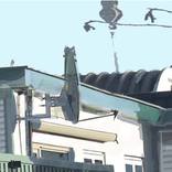 Roof by Helcia Cino