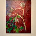 Giant hogweed by Tapio Hirvonen