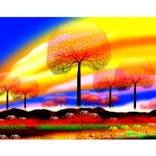 Rainbow Tree by Hairong Ma