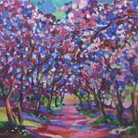 Jacaranda dream by Maja Grecic