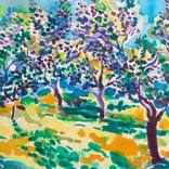 Olive grove No 36 by Maja Grecic