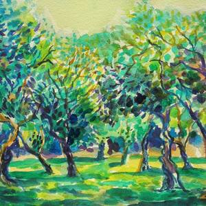 Collection Watercolors