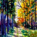 Collection Watercolors
