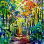 Collection Watercolors