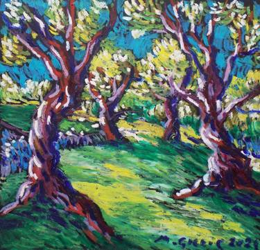 Olive grove No 31 thumb