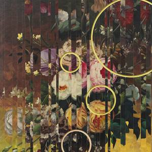 Seven Views