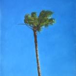 Palmtree nº2 by Paul Dieterlen