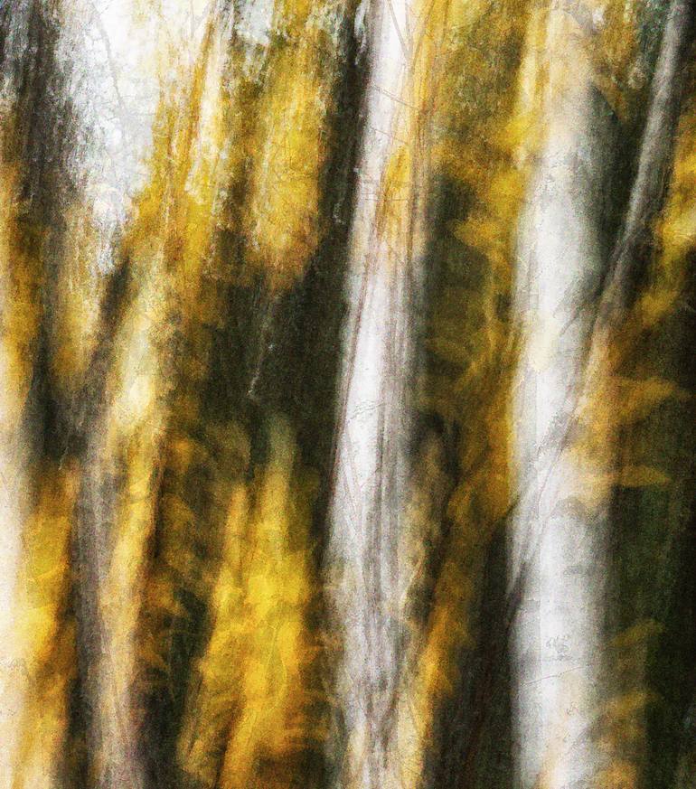 Original Abstract Landscape Photography by Karim Carella