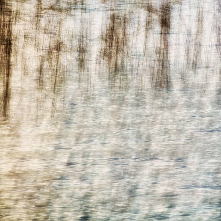 Original Landscape Photography by Karim Carella | Abstract Expressionism Art on Canvas | Reeds on the lake