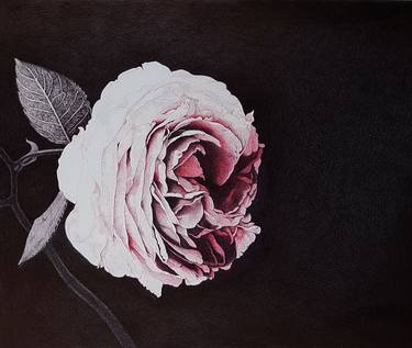 Original Realism Floral Drawings by Praweena Bunker