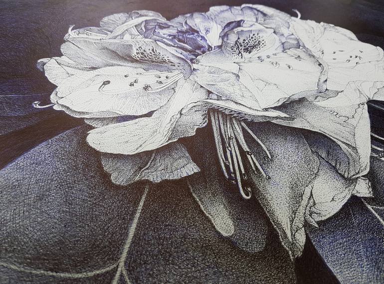 Original Realism Floral Drawing by Praweena Bunker