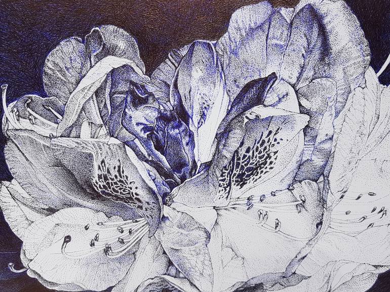 Original Realism Floral Drawing by Praweena Bunker