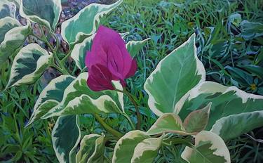 Original Floral Paintings by Praweena Bunker