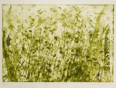 Original Botanic Printmaking by frieda meaney