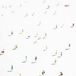 Collection LS for TC