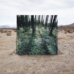 Collection Trending Now: Landscapes