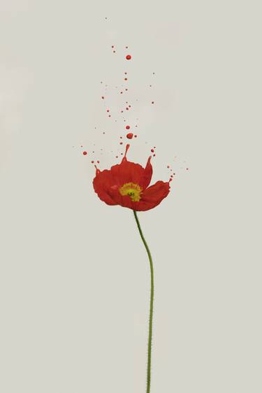 Original Conceptual Floral Photography by Brian Oldham