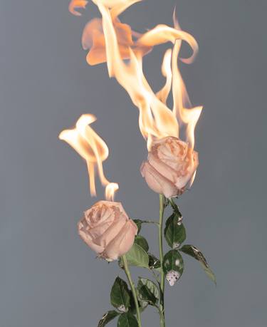 Untitled Floral on Fire (II) - Limited Edition of 12 thumb