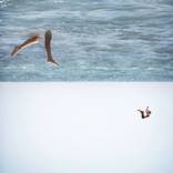 Untitled by Brian Oldham