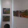 solo show at Kohala Mountain Gallery