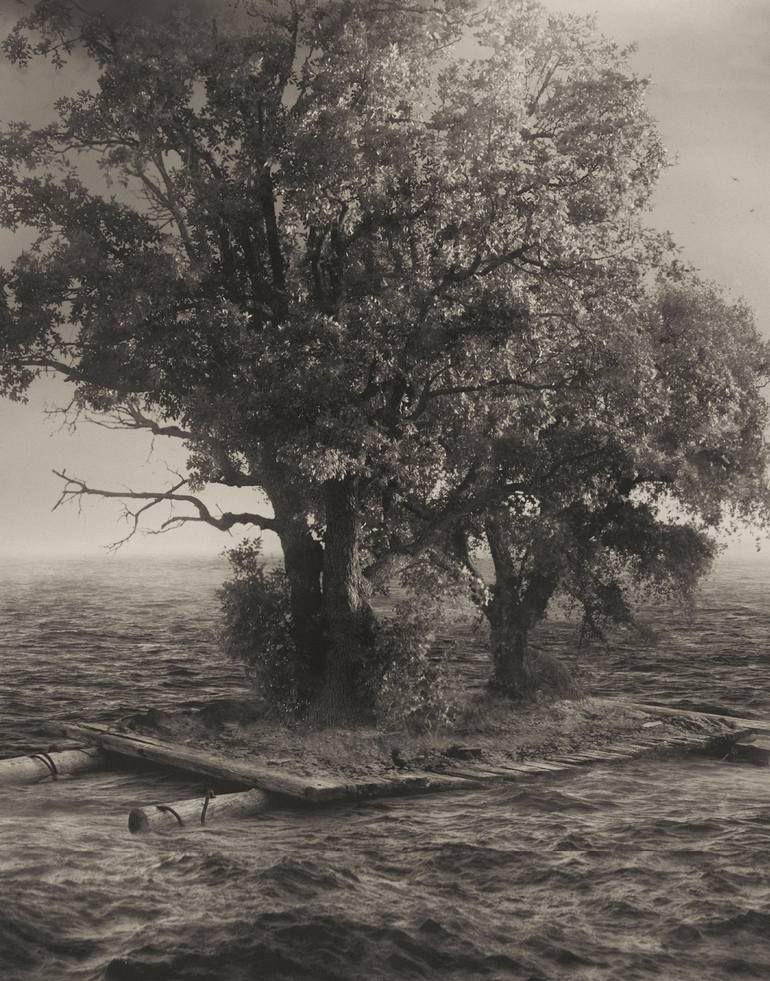 Original Conceptual Tree Photography by Oriol Jolonch