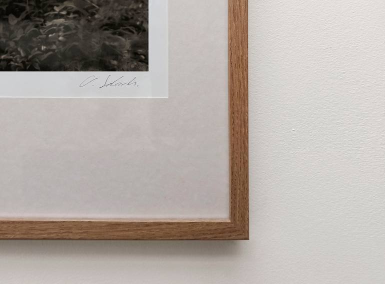 Original Conceptual Botanic Photography by Oriol Jolonch