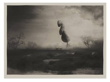 Original Black & White Nature Photography by Oriol Jolonch