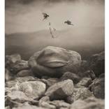 Shhh......se sueña by Oriol Jolonch