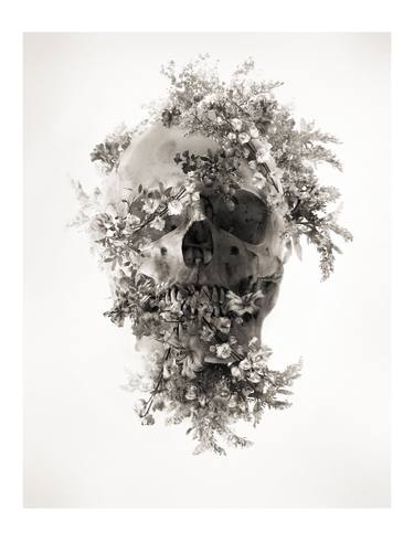 Original Fine Art Mortality Photography by Oriol Jolonch