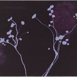 Untitled (2009 dark purple) by Hanne Linde