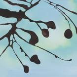 Untitled (2009 Turquoise and chesnut) by Hanne Linde