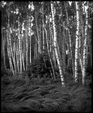 Print of Landscape Photography by Stefan Albert Haring