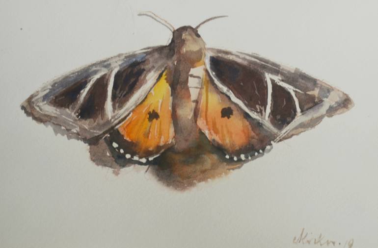 Moth Painting by c h h a b i k i s k u Saatchi Art