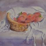 Tomatoes on basket by c h h a b i k i s k u