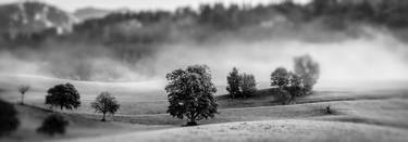 misty landscape#1 thumb